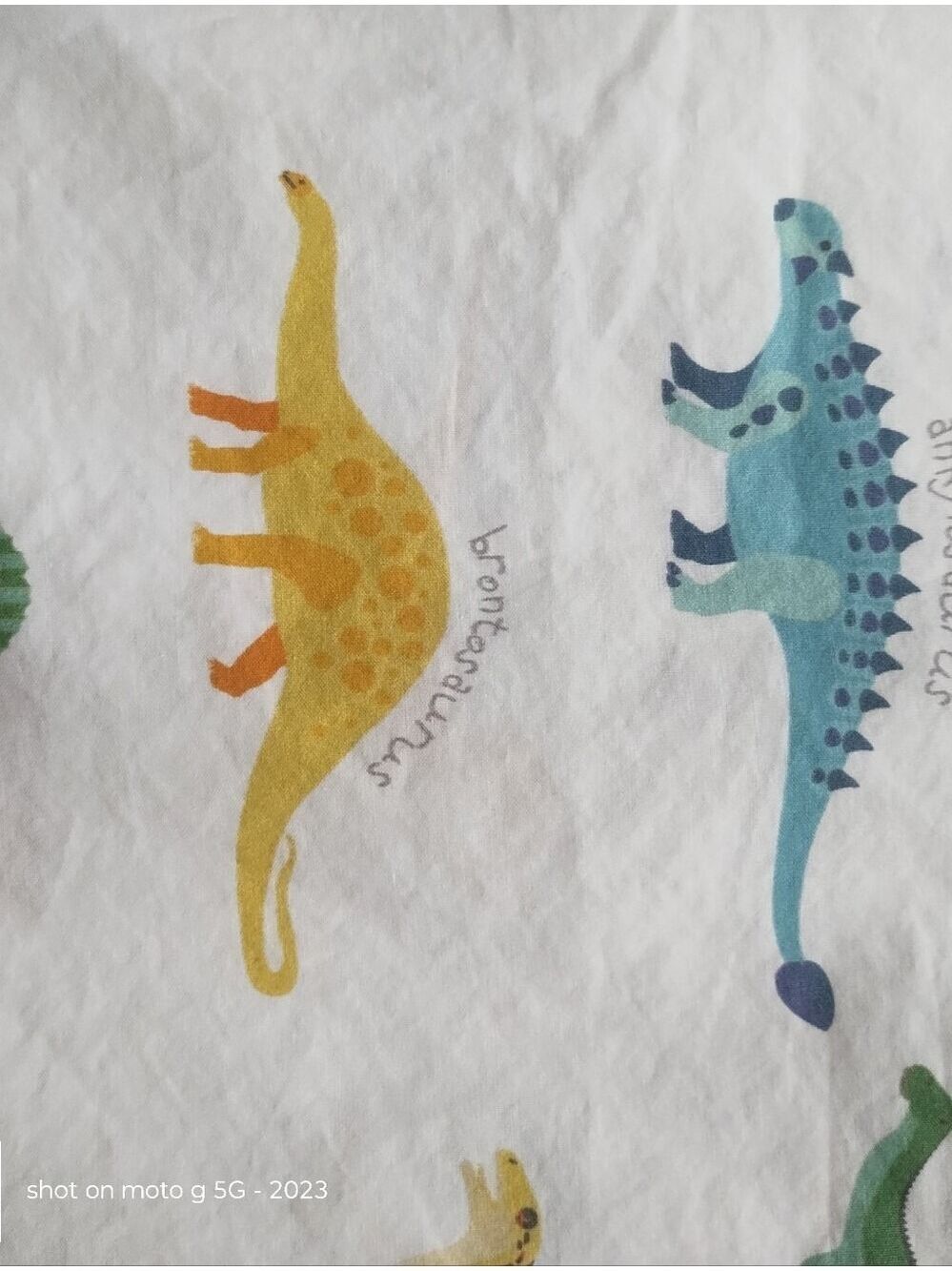Pottery Barn Dinosaur Standard Pillowcase Organic Cotton Dino - Picture 3 of 6